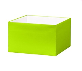 deluxe-ggb-8x8-35029-lime[1]_20160409154210